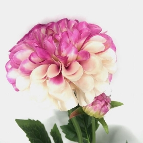 White-Pink Dahlia 59cm