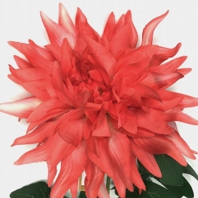 Coral Pink Dahlia 75cm