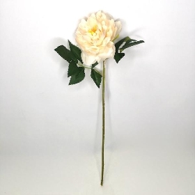 Ivory Open Peony Stem 50cm