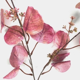 Pink Eucalyptus Stem 100cm