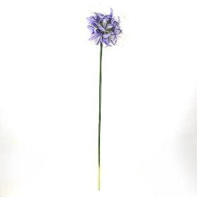 Lavender Spider Lily 64cm