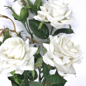 Ivory Velvet Spray Rose Bush 41cm