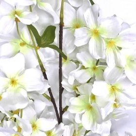 White Green Dogberry 90cm
