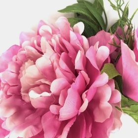 Pink Peony Rose Bundle
