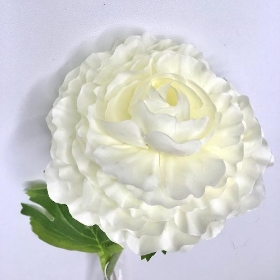 White Ranunculus 55cm
