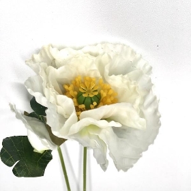 White Poppy Stem 60cm