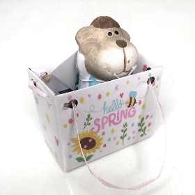 Sheep In Gift Bag Male 7.5cm