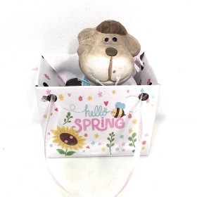 Sheep In Gift Bag Male 7.5cm