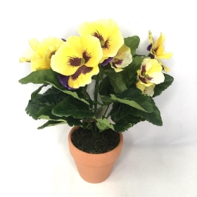 Yellow Pansy in Ceramic Pot 25cm