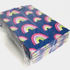 Rainbow Bag x 10
