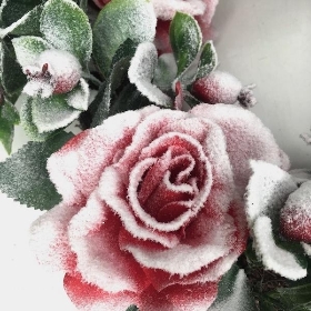 Snowy Rose Wreath 50cm