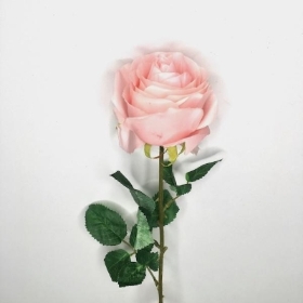 Pale Pink Harper Rose 63cm