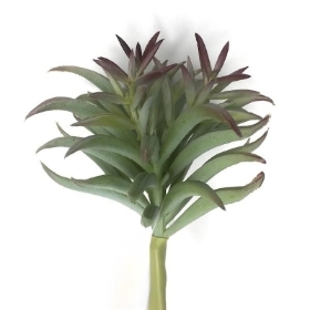 Green Mermaid Tail Succulent Stem 58cm