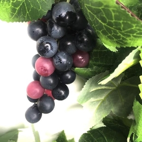 Red Grape Branch 90cm