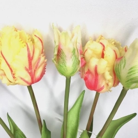 Cream Raspberry Tulip Bundle 40cm