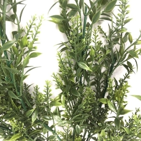 Green Mini Ruscus Bush 54cm
