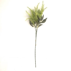 Green Lavender 65cm