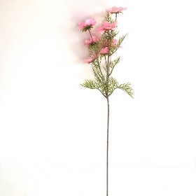 Pale Pink Cosmos 72cm