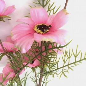 Pale Pink Cosmos 72cm
