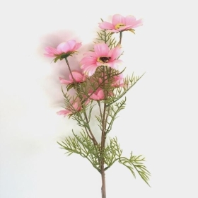 Pale Pink Cosmos 72cm