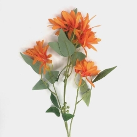 Orange Honeysuckle 75cm