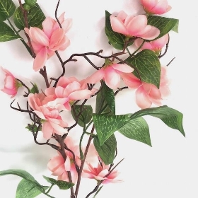 Pink Birdwood 72cm