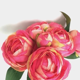 Pink Ranunculus Bundle 25cm