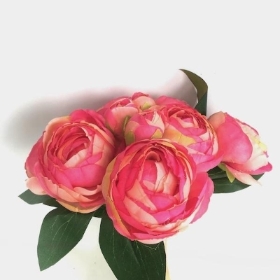 Pink Ranunculus Bundle 25cm