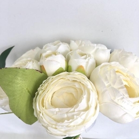 White Ranunculus Bundle 25cm