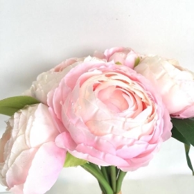 Light Pink Ranunculus Bundle 25cm