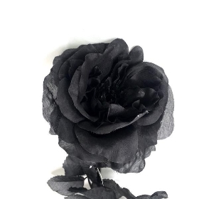 Black Rose 72cm