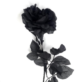 Black Rose 72cm