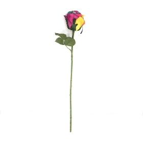 Rainbow Rose 50cm