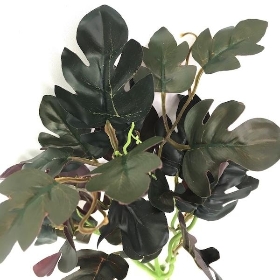 48 x Assorted Foliage Bush