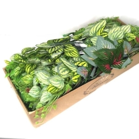 48 x Assorted Foliage Bush