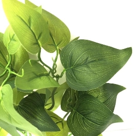 48 x Assorted Foliage Bush