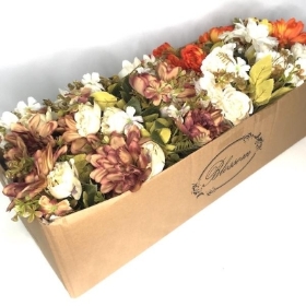 48 x Assorted Peony & Dahlia Bush 31cm