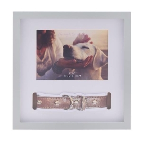 Pet Collar Frame 29cm