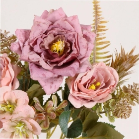 Dusty Lucia Mix Bush 32cm