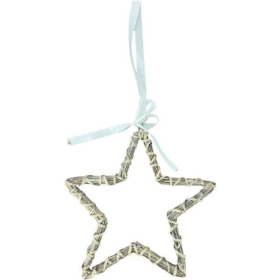 Grey Star 30cm