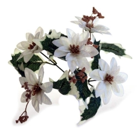 Ivory Poinsettia Bush 30cm