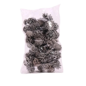 Frosted Pinecone 1kg