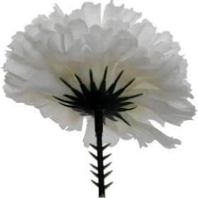 White Carnation Picks x 144