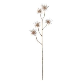 Champagne Mini Thistle 53cm
