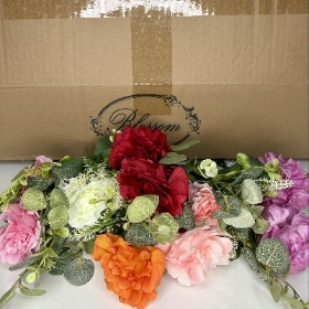 Open Peony Bush