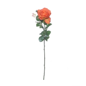 Orange Ireland Rose 66cm