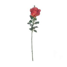 Red Ireland Rose 66cm