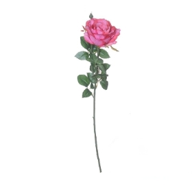 Fuchsia Ireland Rose 66cm