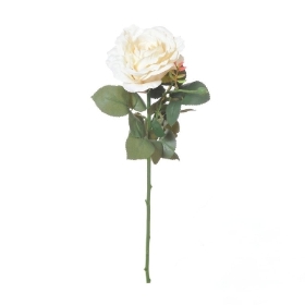 Ivory Ireland Rose 66cm