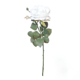 White Ireland Rose 66cm